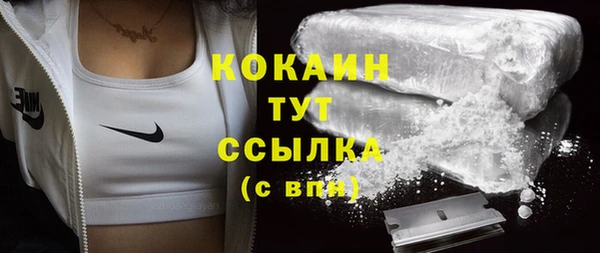 прущий лед Касимов