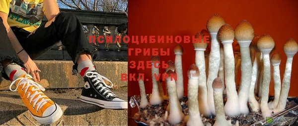 прущий лед Касимов